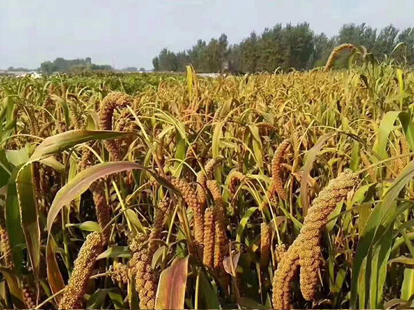 成長(zhǎng)3.jpg